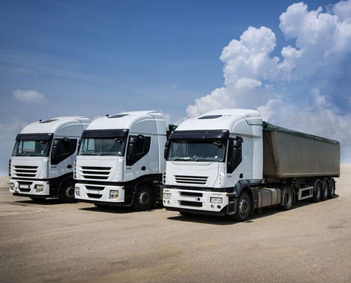 上海至武汉冷藏物流专家 踏信货运的专业冷冻运输服务