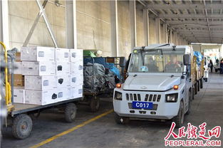 乌鲁木齐局集团公司双11电商黄金周运输服务高效保障物流畅通